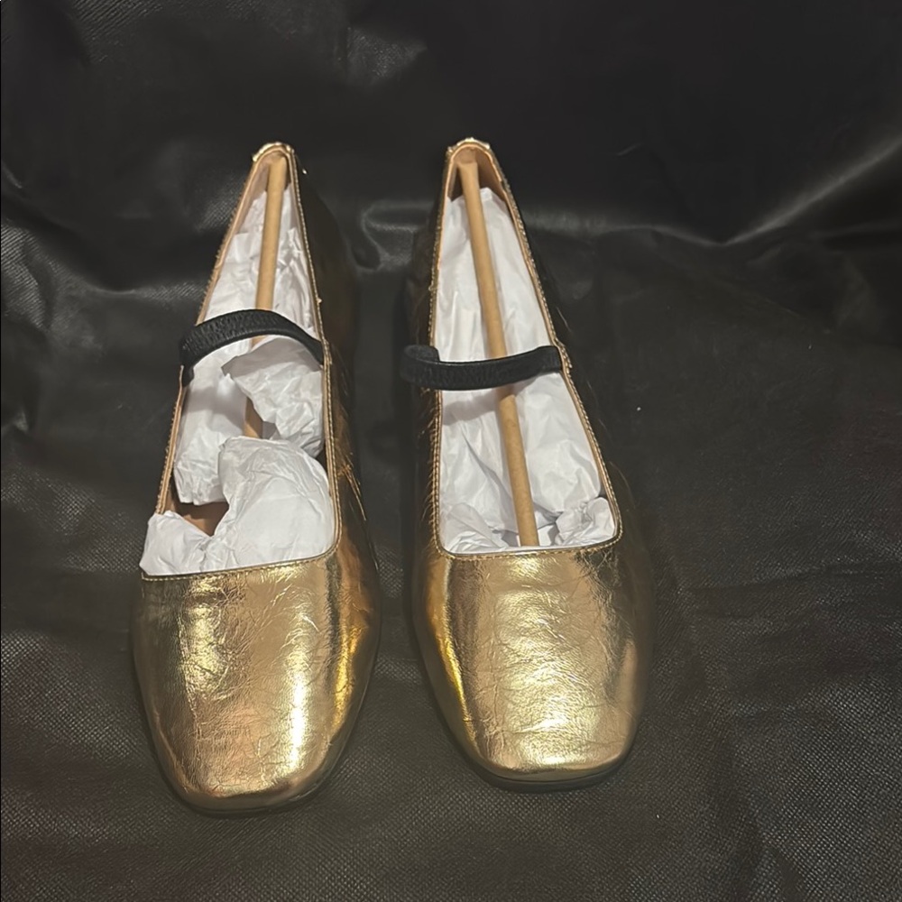 Elegant Gold Flats with Black Strap